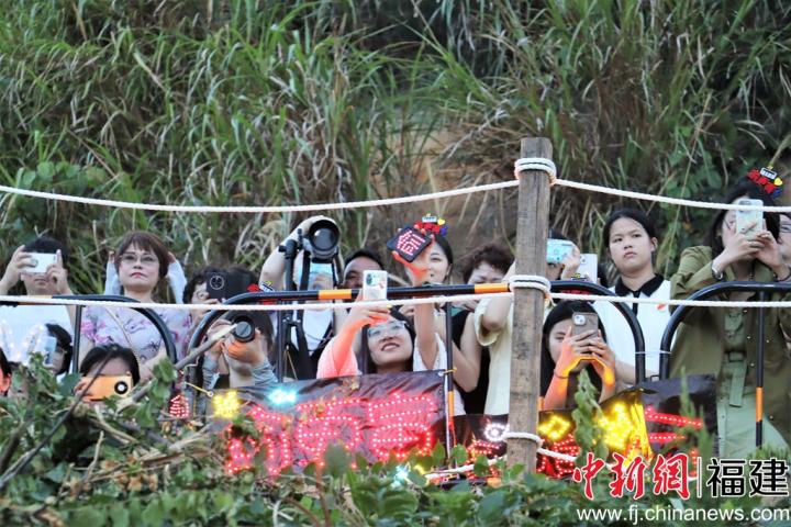 粉丝举着灯牌到现场应援。叶茂 摄