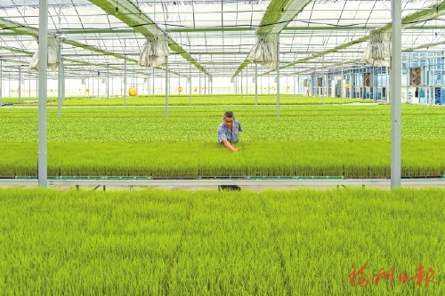 谁知盘中餐　道道皆“智慧”