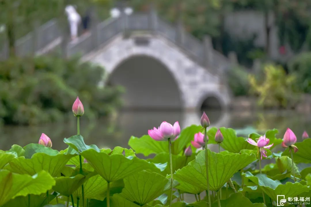 何处觅清凉？福州消夏指南来了！