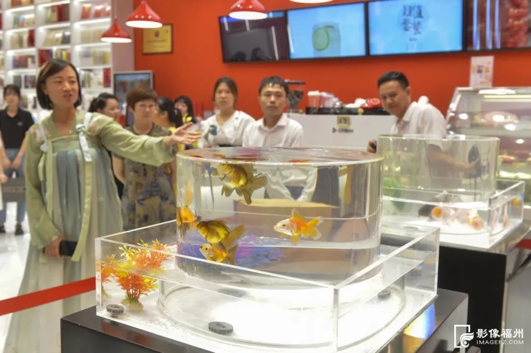 乐享文化大餐!一起“玩转”非遗! 乐享文化大餐!一起“玩转”非遗!
