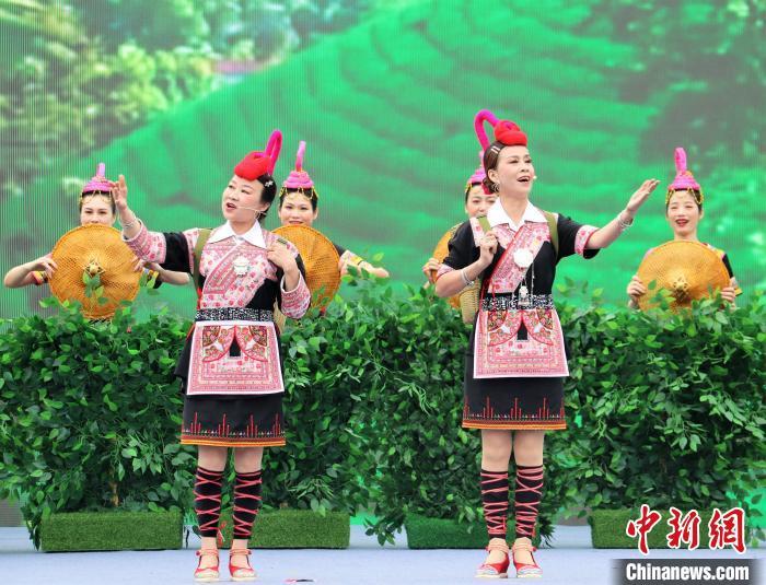 4月21日，宁德市各民族共庆“三月三”畲族文化节活动上，畲族双音《采茶歌》表演。　林榕生摄