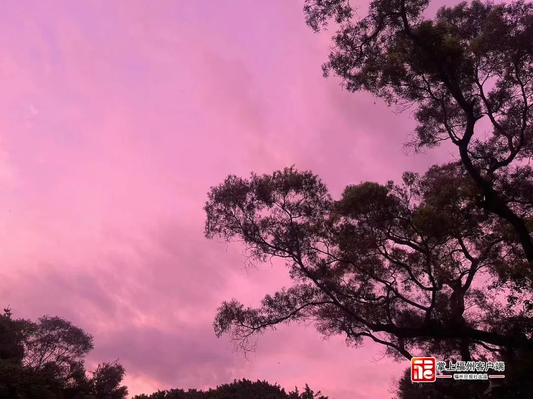 粉了!粉了!福州天空出现紫红色霞光 粉了!粉了!福州天空出现紫红色霞光