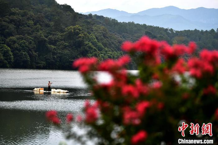 图为常口村村民在村旁的金溪上划船。　中新网记者 张斌 摄