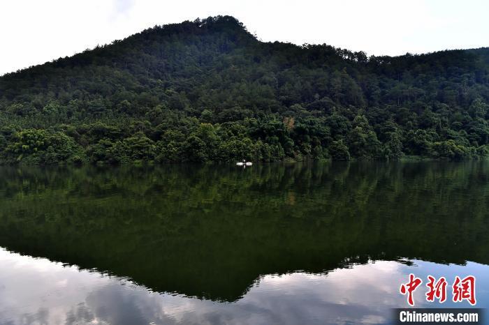 图为常口村绿水映照着青山，好像一幅淡雅的水墨画卷。　中新网记者 张斌 摄