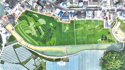 64eda837d82d1.jpg 64eda837d82d1.jpg