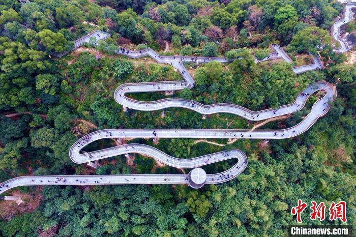 福道在城中穿行，将山林、公园绿地、开放空间等整合、串联，把山、水、人、城融为一体。中新网记者王东明摄