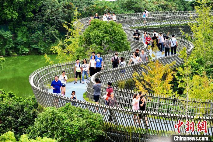 市民、游客正在福道运动健身。中新网记者 王东明 摄
