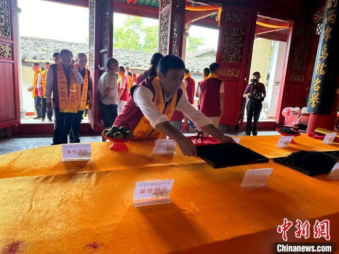 两岸茶人献上当年新茶。中新网记者 张丽君 摄