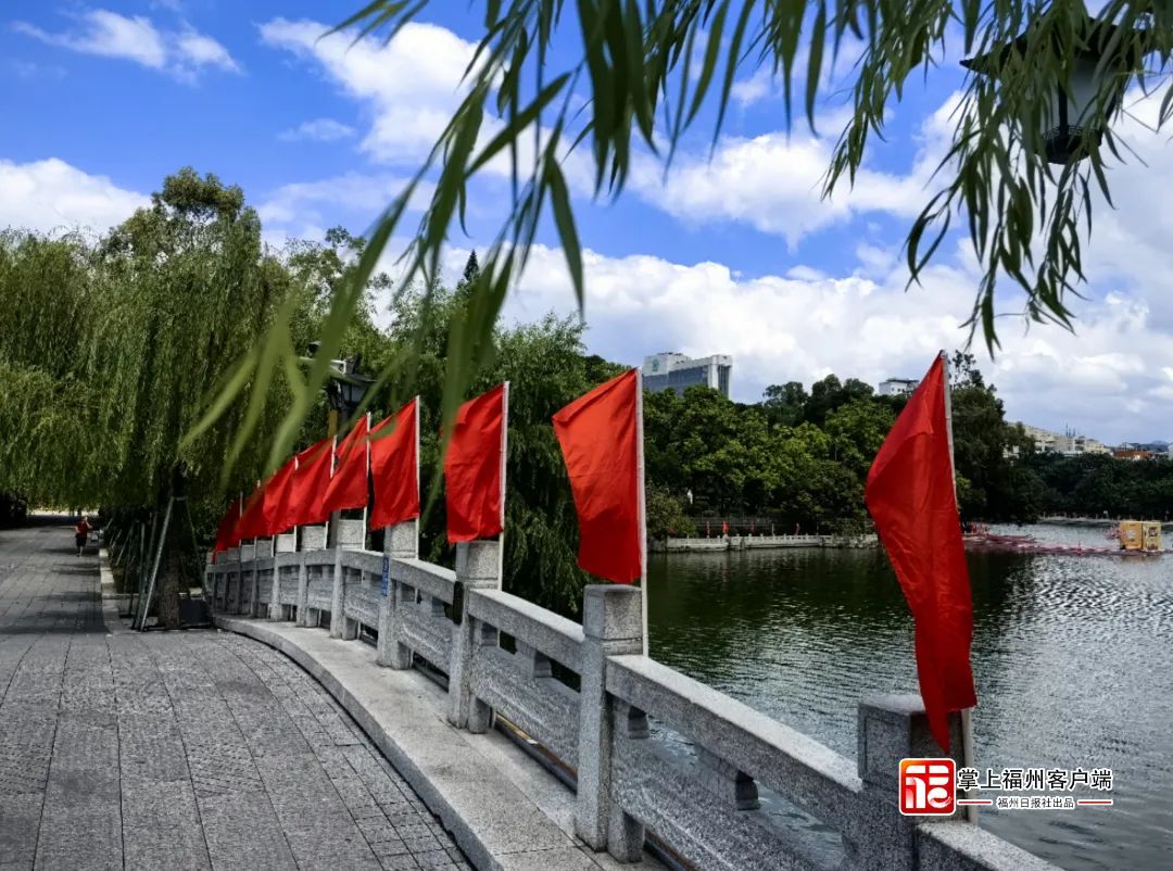 好美！福州街头惊艳亮相！