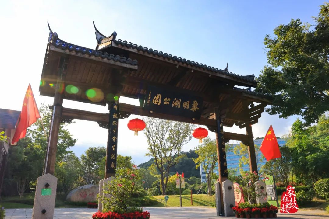 好美！福州街头惊艳亮相！