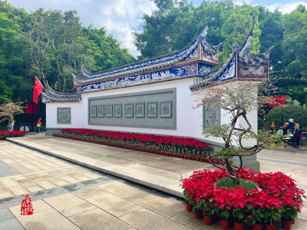 好美！福州街头惊艳亮相！