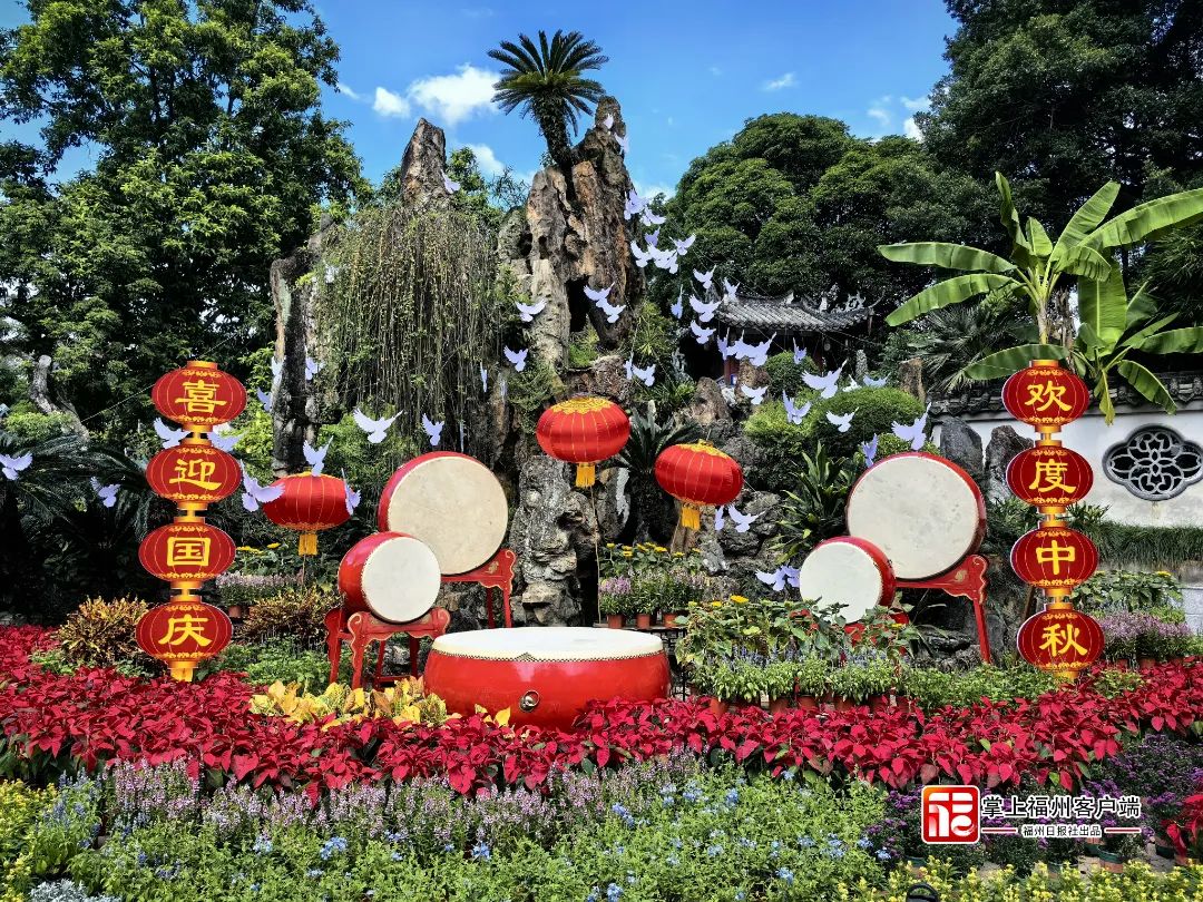 好美！福州街头惊艳亮相！