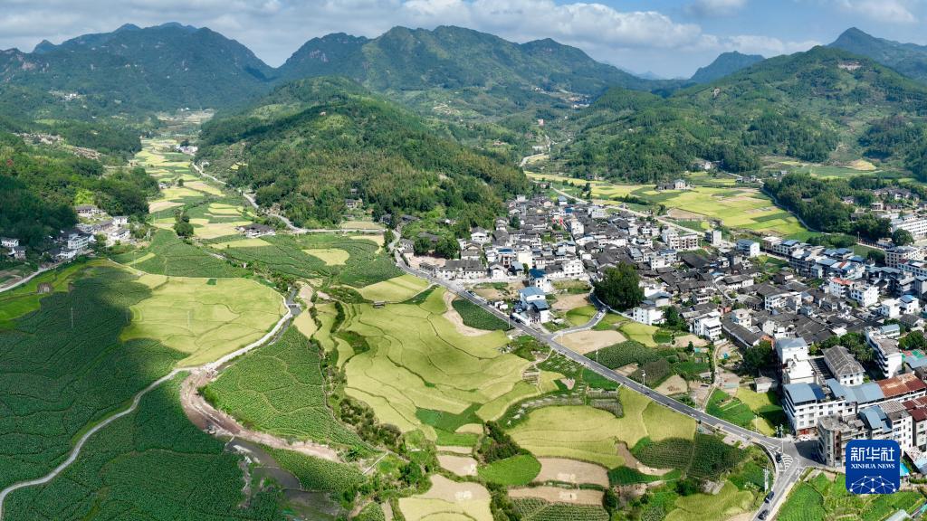 福建永泰：稻香满园 丰收如画
