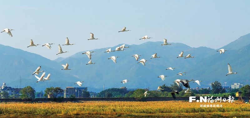一张蓝图绘到底 大美湿地润榕城