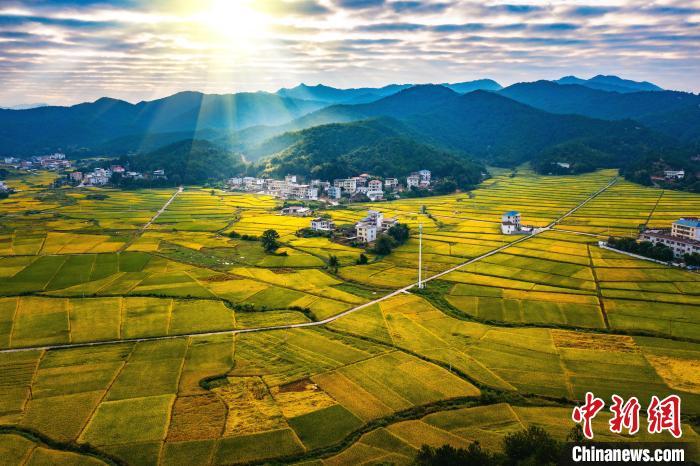 金秋时节的美丽“丰”景。王宝生 摄