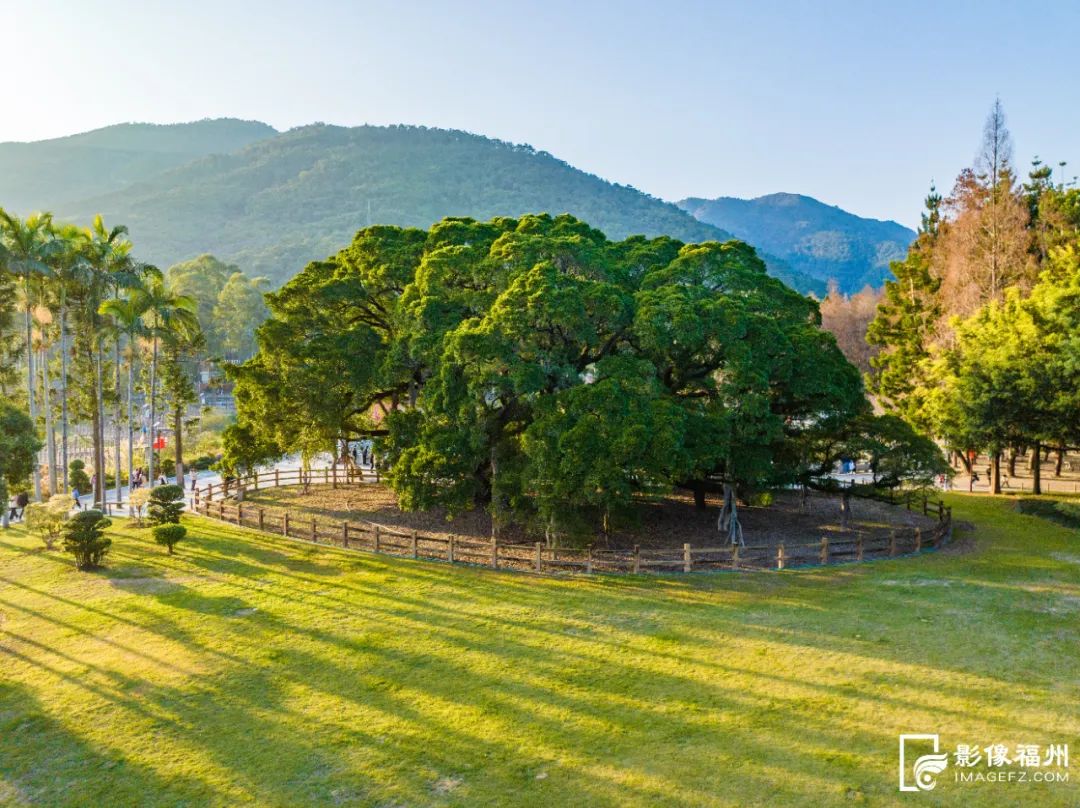 在福州,实现公园自由 在福州,实现公园自由