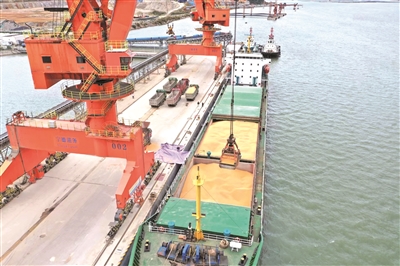 6556df7067c4e.jpg 6556df7067c4e.jpg