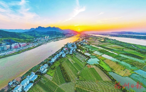 从“垃圾岛”到鸟的天堂