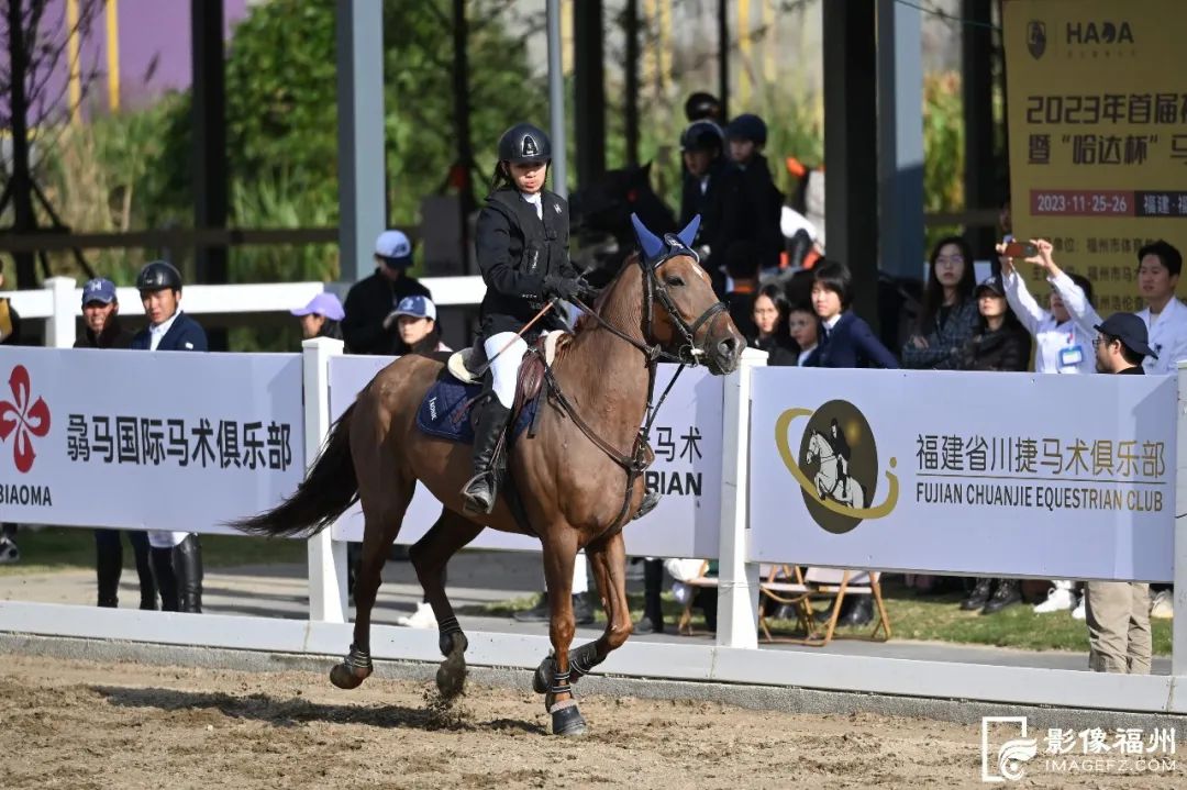 策马奔腾!福州首届马术锦标赛开幕! 策马奔腾!福州首届马术锦标赛开幕!