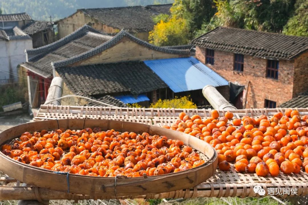 晒秋了!来闽侯,进入美好“柿”界 晒秋了!来闽侯,进入美好“柿”界