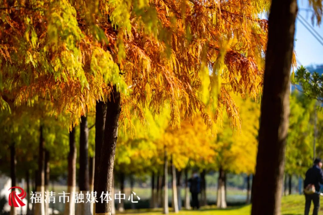 福清这里要红了!每一眼都是惊艳! 福清这里要红了!每一眼都是惊艳!