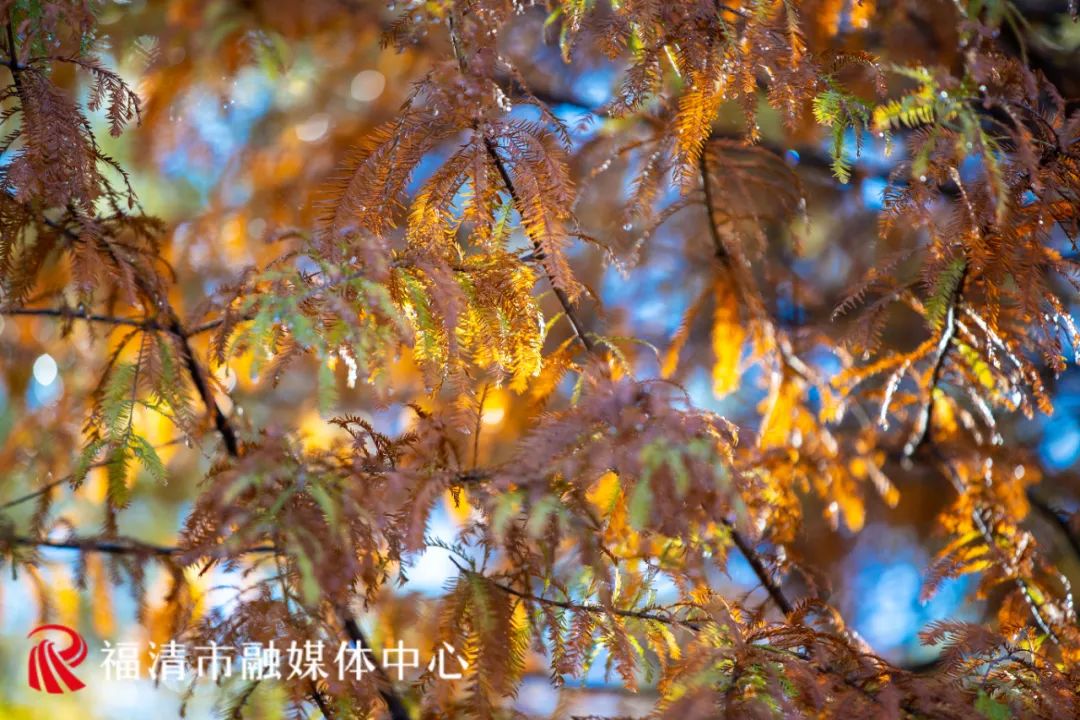 福清这里要红了!每一眼都是惊艳! 福清这里要红了!每一眼都是惊艳!