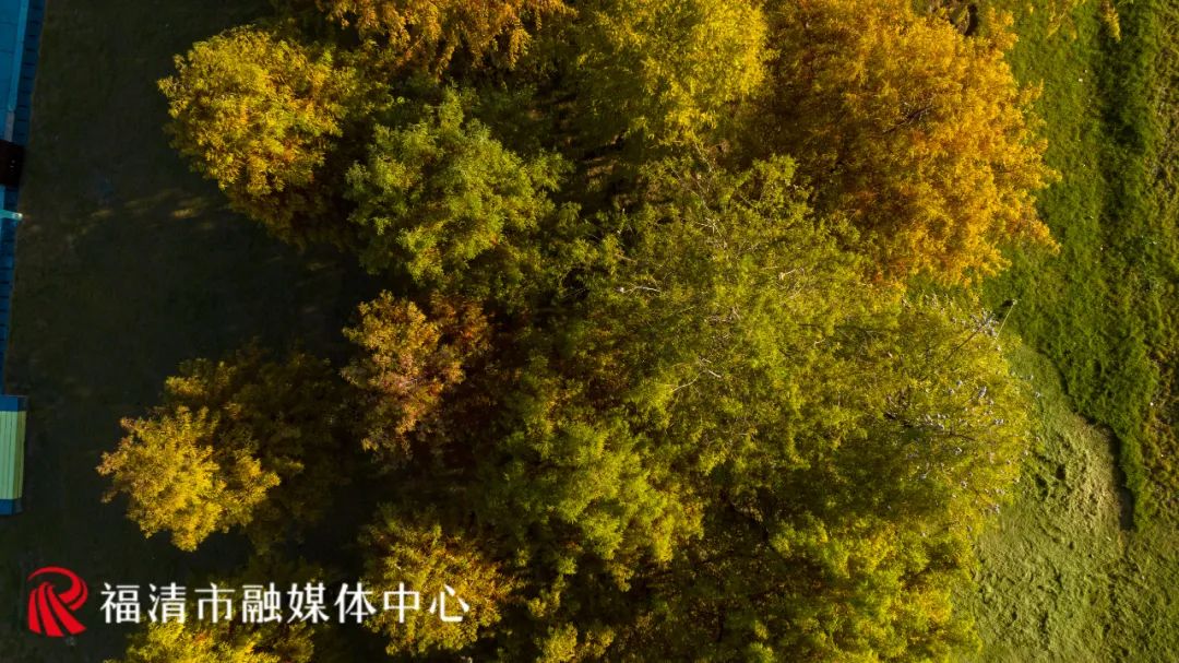 福清这里要红了!每一眼都是惊艳! 福清这里要红了!每一眼都是惊艳!