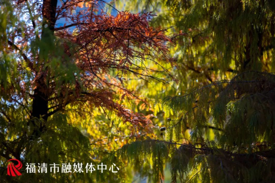 福清这里要红了!每一眼都是惊艳! 福清这里要红了!每一眼都是惊艳!