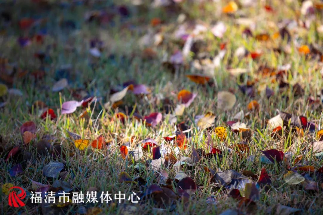 福清这里要红了!每一眼都是惊艳! 福清这里要红了!每一眼都是惊艳!