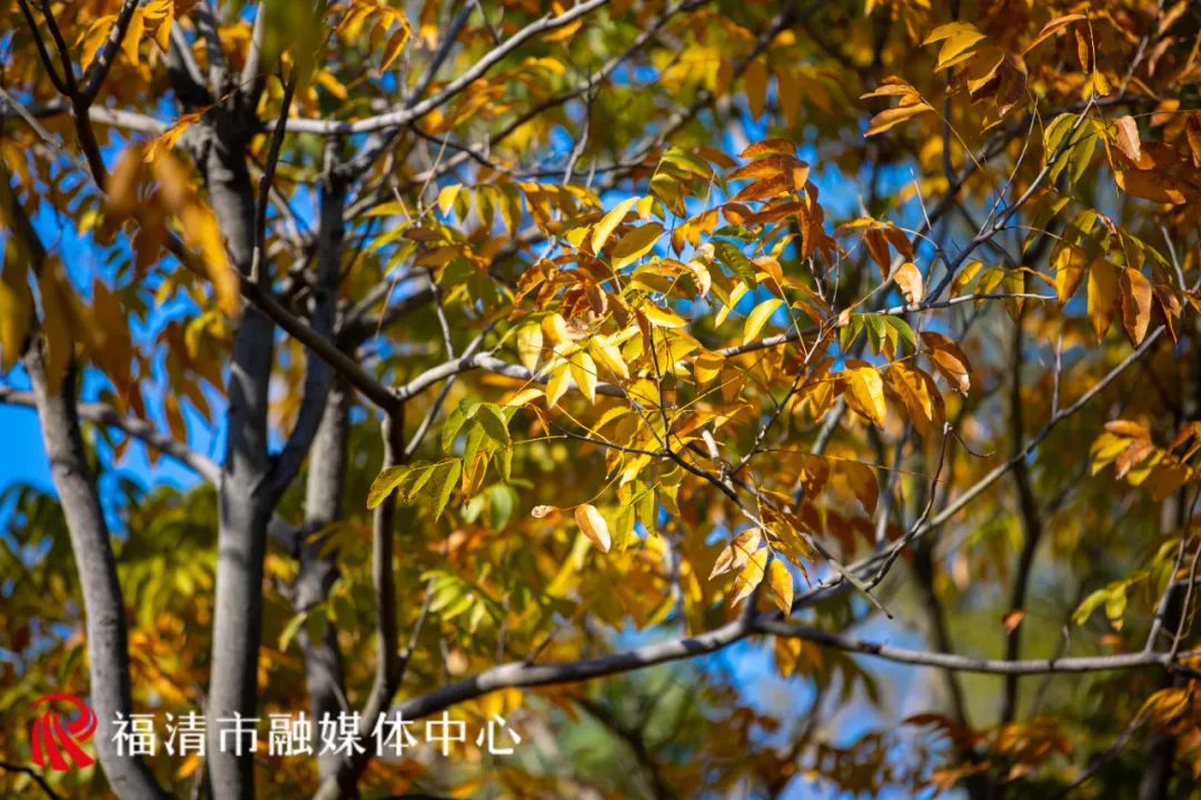 福清这里要红了!每一眼都是惊艳! 福清这里要红了!每一眼都是惊艳!
