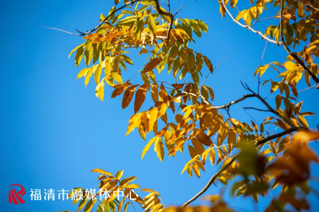 福清这里要红了!每一眼都是惊艳! 福清这里要红了!每一眼都是惊艳!