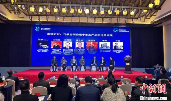 研讨会现场。中新网记者张丽君 摄