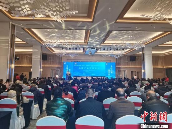 图为小吃产业发展论坛现场。黄艳 摄