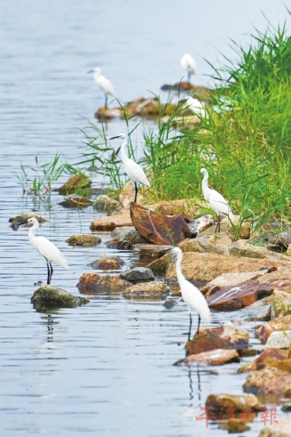 绿色发展　构筑生态屏障