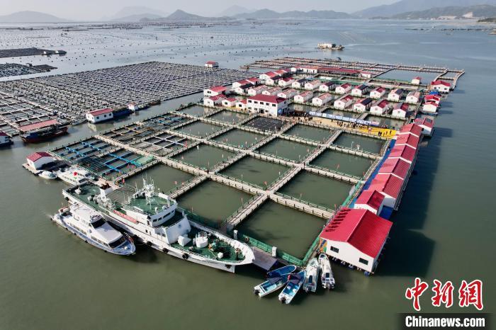 福建省首个建制式海上社区——“七星海上社区”。中新网记者 王东明 摄