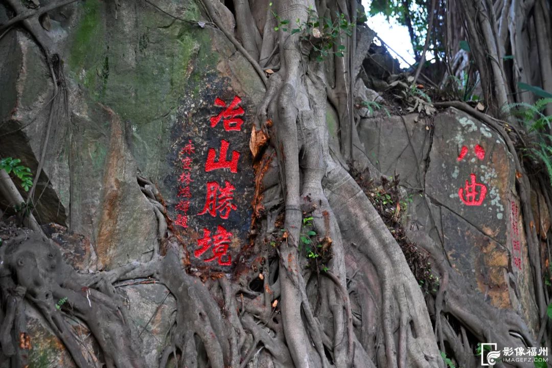冶山春秋园!焕新亮相! 冶山春秋园!焕新亮相!