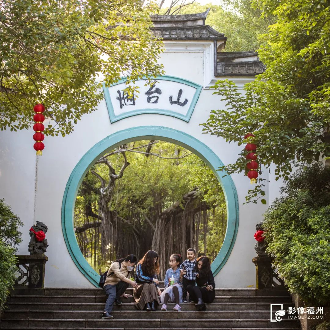 终于等到!福州最美银杏黄了! 终于等到!福州最美银杏黄了!