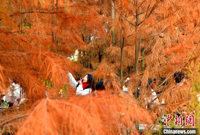 图为市民、游客拍照打卡。中新网记者 吕明 摄