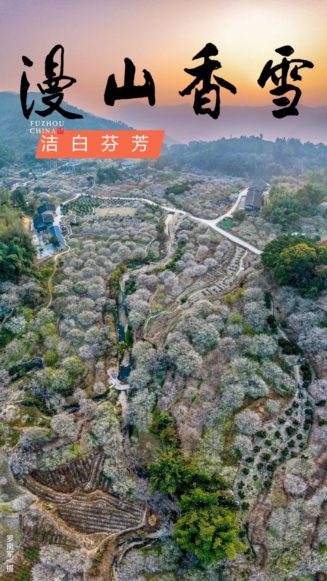 美!福州2024年第一场“雪”! 美!福州2024年第一场“雪”!