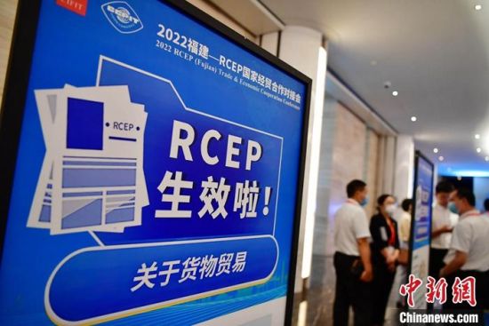 资料图为2022福建—RCEP国家经贸合作对接会在厦门举办。 中新社记者 张斌 摄 