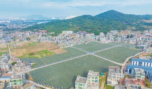 两岸“农”合再结新果