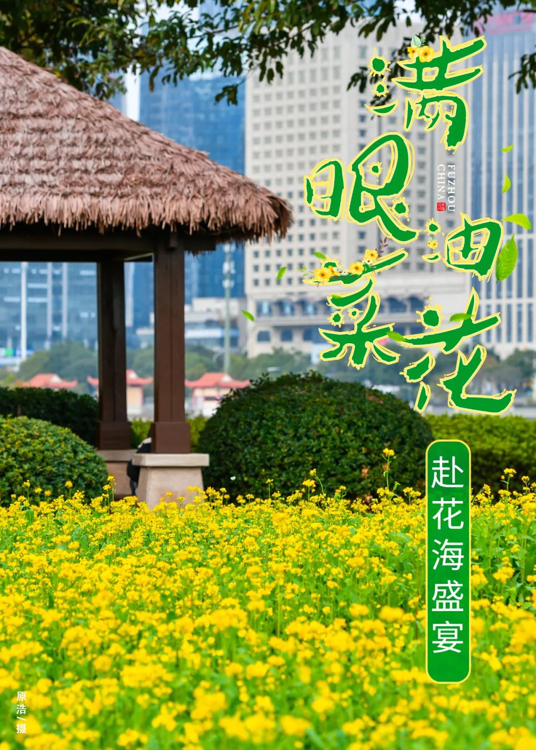 美爆了！福州金灿灿！