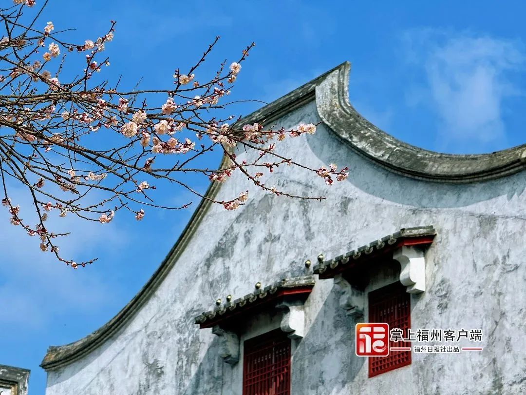 提前上线！福州林阳寺颜值巅峰！