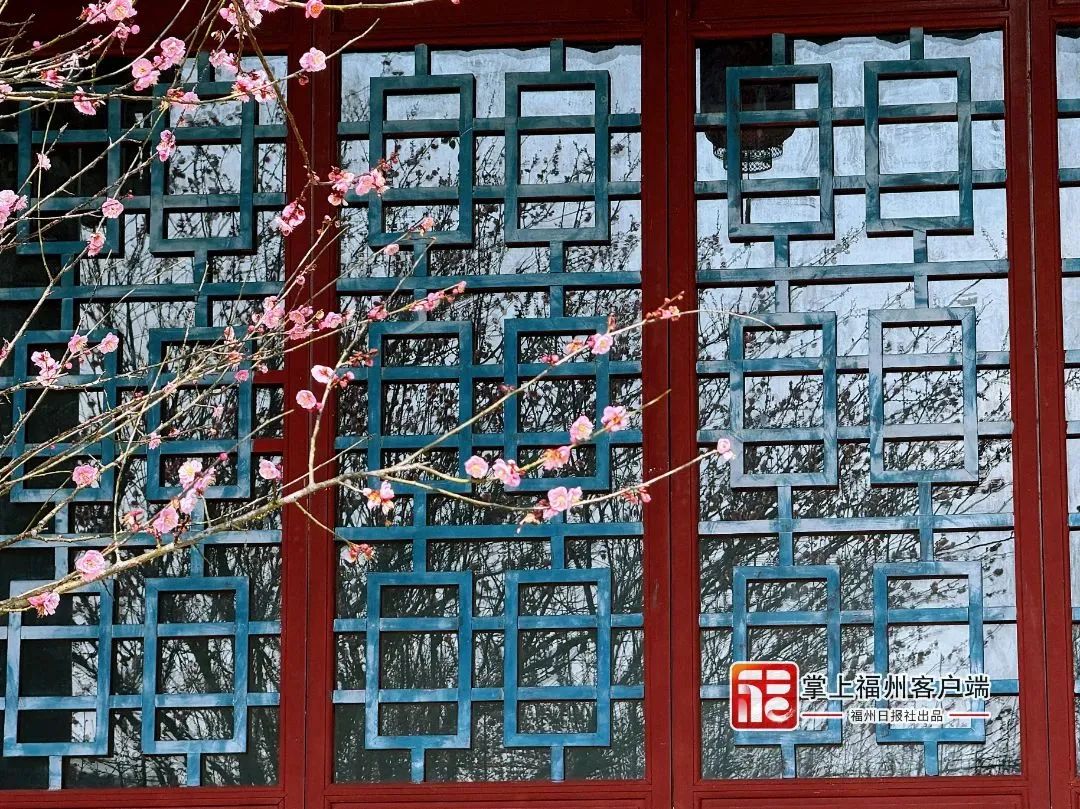 提前上线！福州林阳寺颜值巅峰！