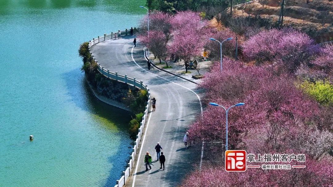 提前上线！福州林阳寺颜值巅峰！