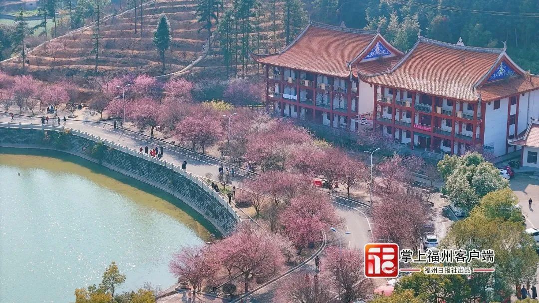 提前上线！福州林阳寺颜值巅峰！