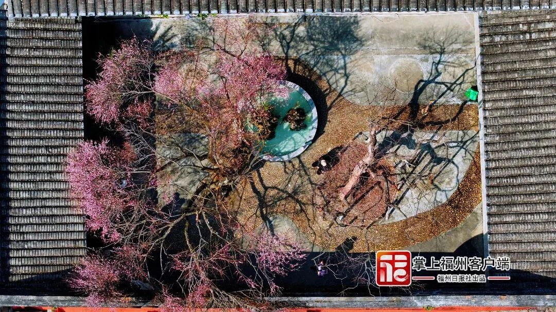 提前上线！福州林阳寺颜值巅峰！