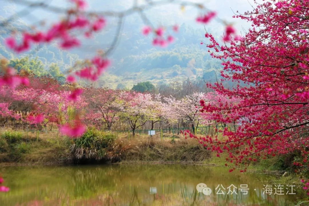 提前上线！福州林阳寺颜值巅峰！
