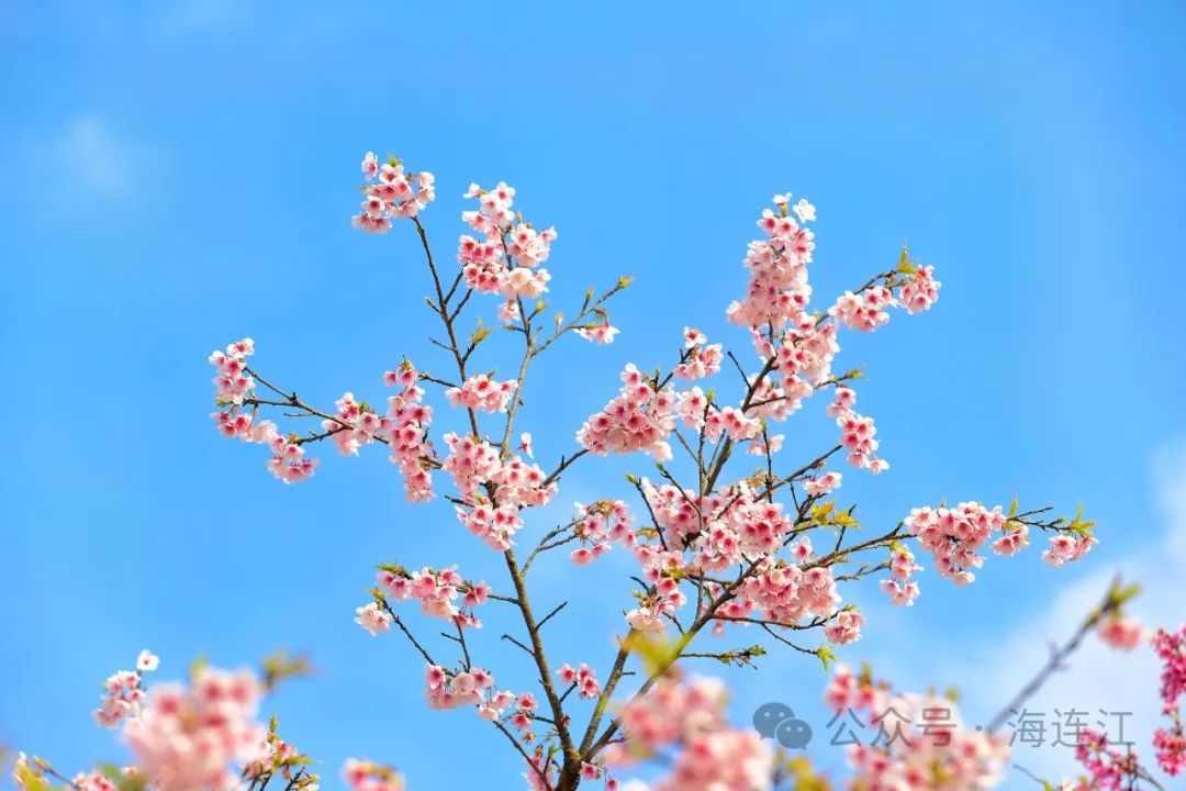 提前上线！福州林阳寺颜值巅峰！