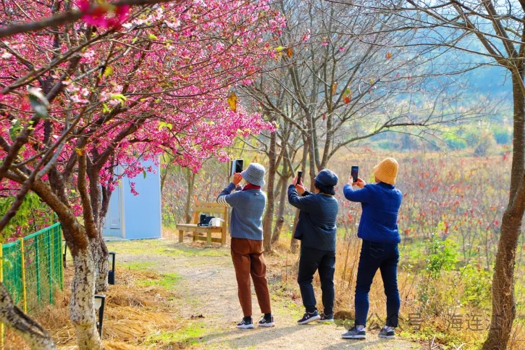 提前上线！福州林阳寺颜值巅峰！